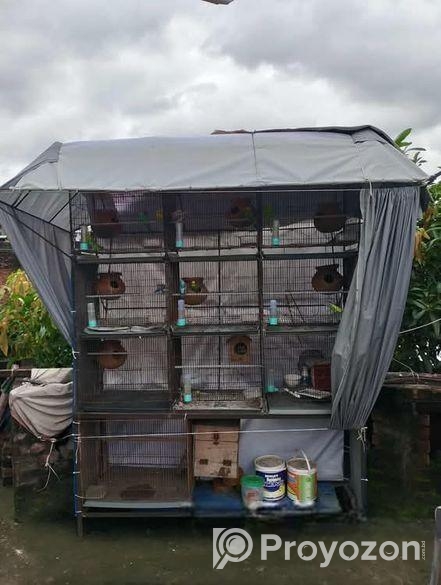 পাখির খাঁচা