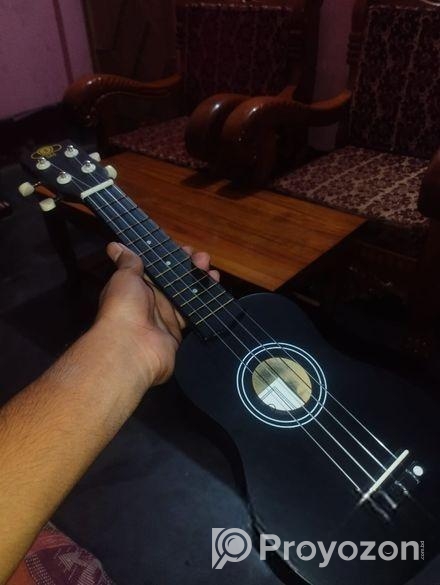 Ukulele (উকুলেলে) 21″ ইউকুলেলি ব্যাগ এবং ২টি পিক