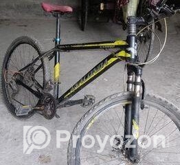 fitted-7_2025-08-23_10-03-48