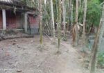 ৬ কাঠা জমি উপর এক তালা ঘর সহ বিক্রয় করবো