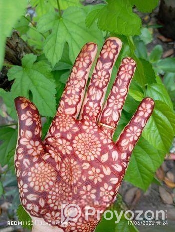 অরগানিক মেহেদি