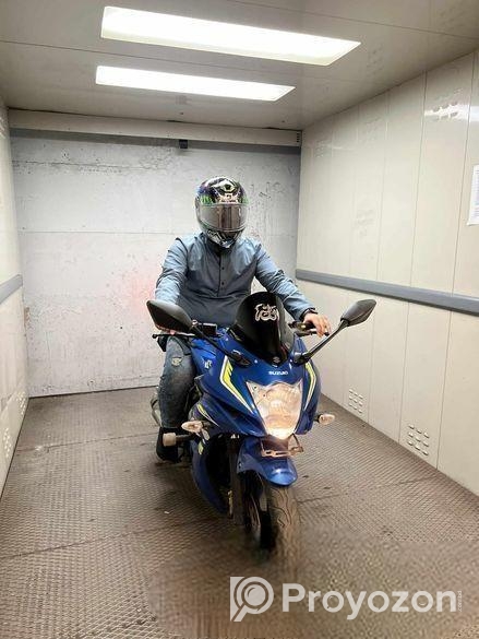 Shark Switch Rider D-Skwal 2