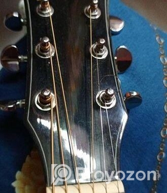 Guiter sell