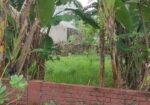 সেক্টর ১৭/এ সরাসরি মালিক হতে ক্রয় করুন