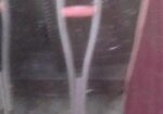 Crutch (হাটার লাঠি)