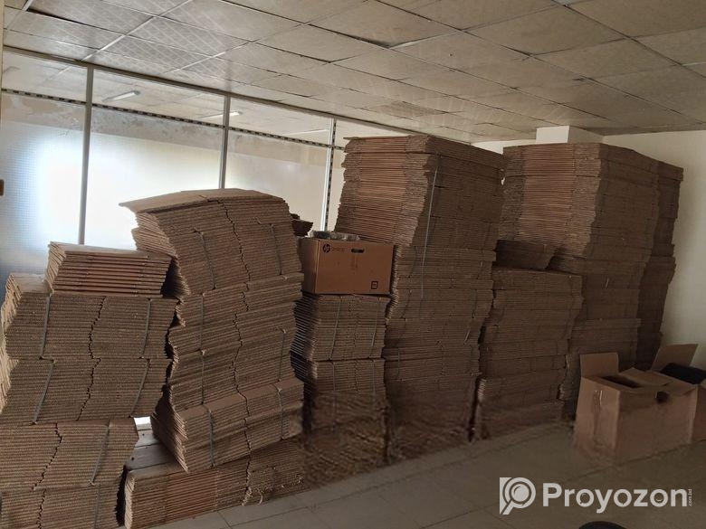 কাটুন প্যাকেজিং