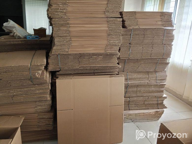 কাটুন প্যাকেজিং