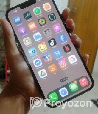 Apple iPhone 13 Pro Max (Used)