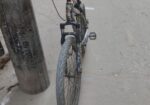 Phonix Cycle For Sell