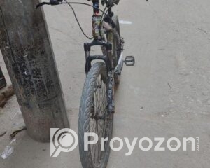 fitted-85_2025-08-23_12-31-43