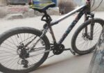 Phonix Cycle For Sell