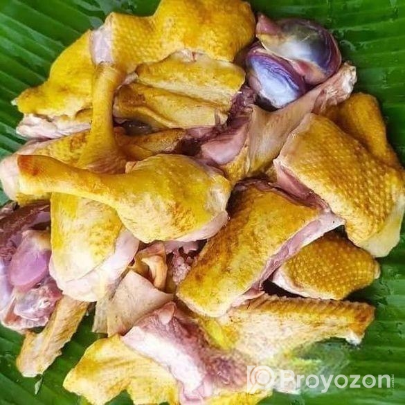 দেশী হাঁস