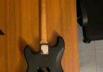 Electric Guitar