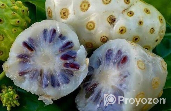ননি ফল (ঔষুধি ফল)