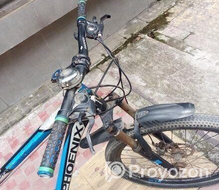 Phoenix Bicycle for sale