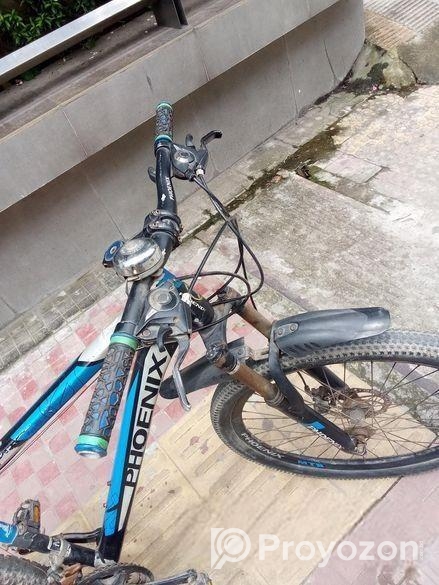 Phoenix Bicycle for sale