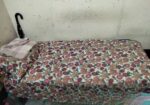 Single Bed Urgent Sell