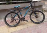 Phoenix Bicycle for sale