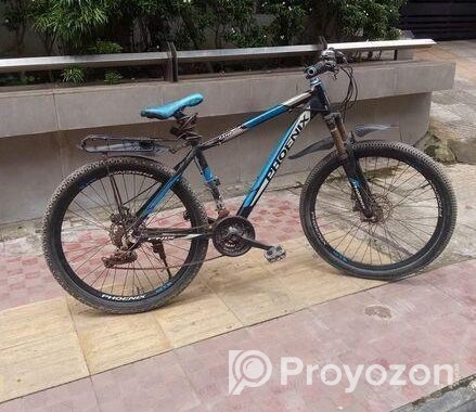 Phoenix Bicycle for sale