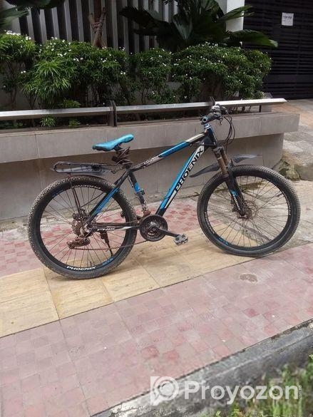 Phoenix Bicycle for sale