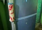 Sharp fridge