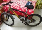 Phonix Cycle