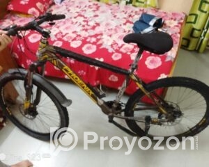 fitted-8_2025-08-05_16-05-55