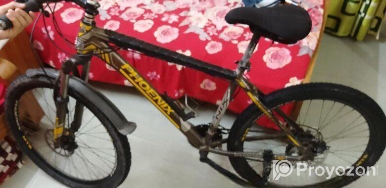 Phonix Cycle