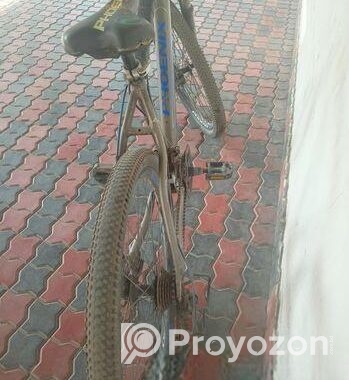 Bicycle Sell