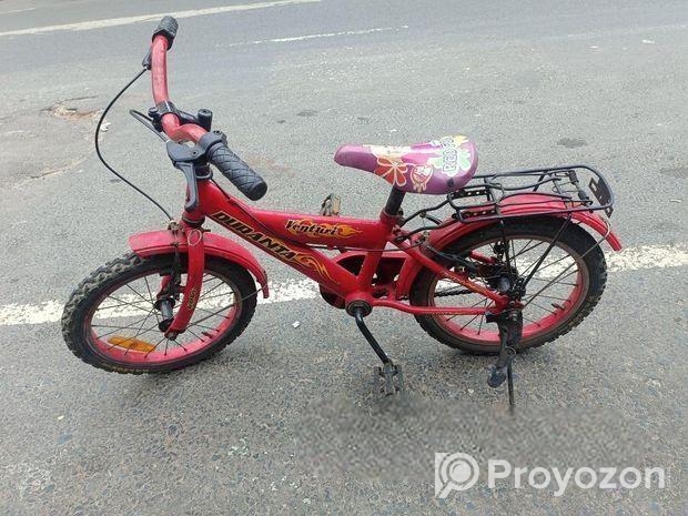 বাচ্চাদের দুরন্ত সাইকেল