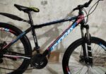 Phoenix for sale
