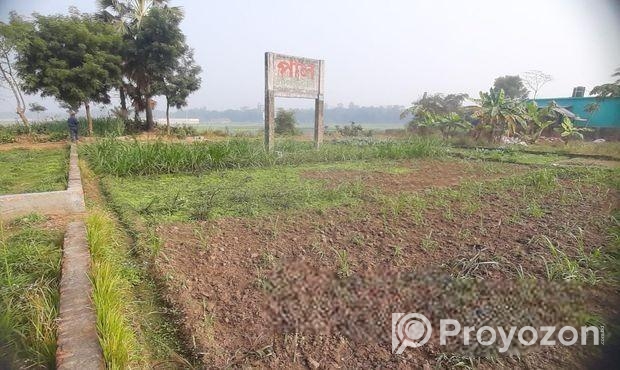 নিষ্কণ্টক, এখনি বসবাস যোগ্য জমি, চানপাড়া, ভদ্রারটে