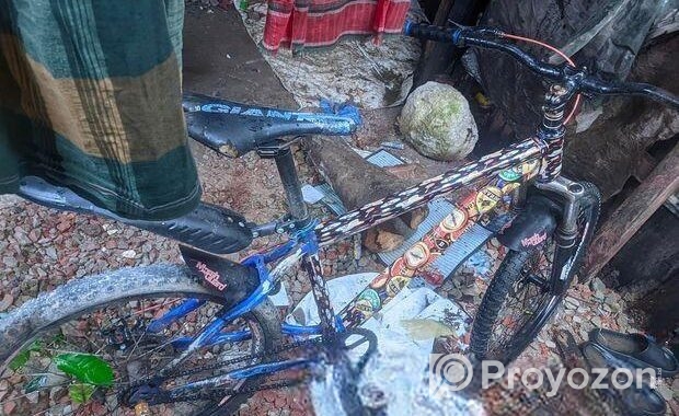 ফ্রেশ সাইকেল
