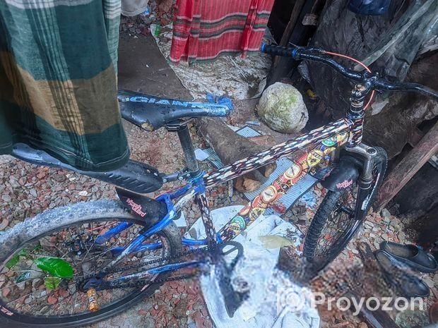 ফ্রেশ সাইকেল