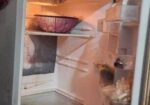FREEZER FOR SALE