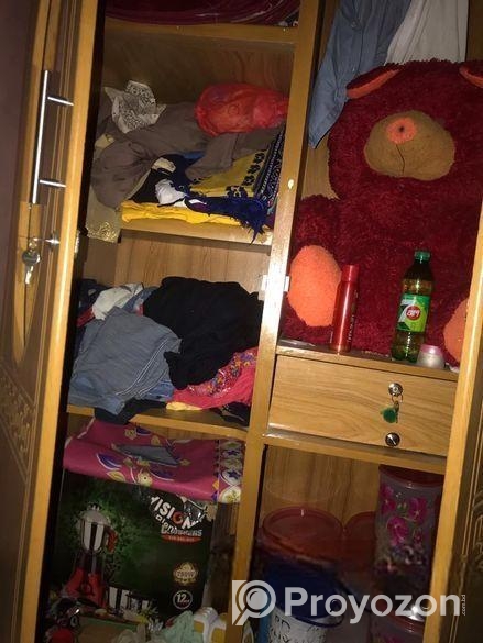 পারটেক্স এর আলমারি