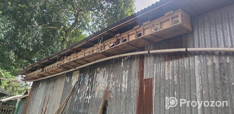 কবুতরের খোপ বিক্রি করবো