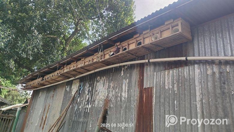 কবুতরের খোপ বিক্রি করবো