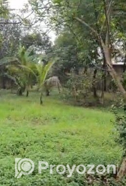 ৪০ কাঠার নিসকন্ঠ প্লট বিক্রয়