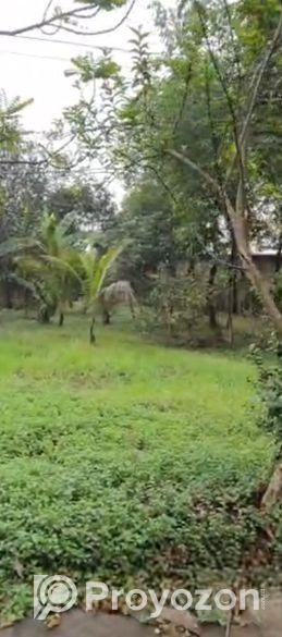 ৪০ কাঠার নিসকন্ঠ প্লট বিক্রয়