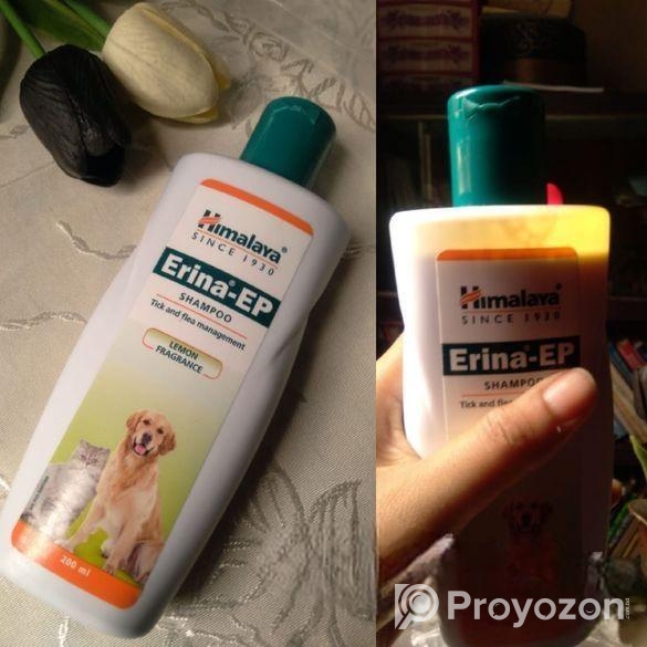 বিড়ালের পণ্য