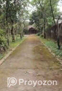 ৪০ কাঠার নিসকন্ঠ প্লট বিক্রয়