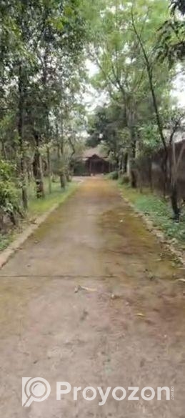 ৪০ কাঠার নিসকন্ঠ প্লট বিক্রয়