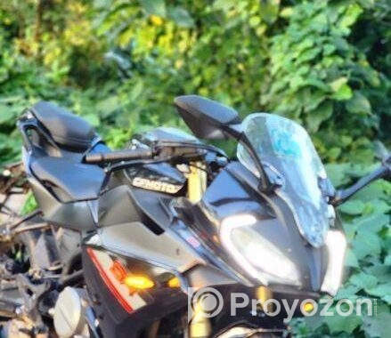 Suzuki CF MOTO 250SR 2024