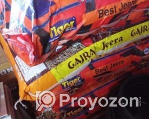 fitted-95_2025-08-20_11-42-41