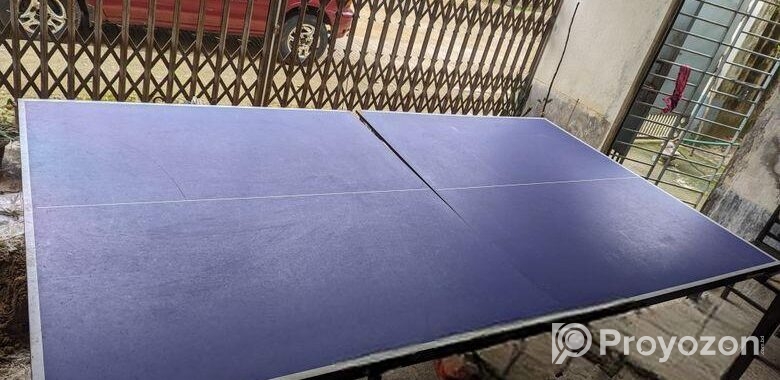 Table Tennis