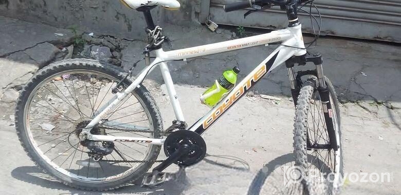 Coyote Minisota UK 26 inch