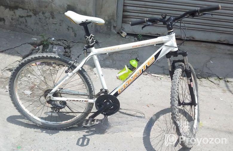 Coyote Minisota UK 26 inch