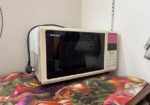 Micro Oven 20L