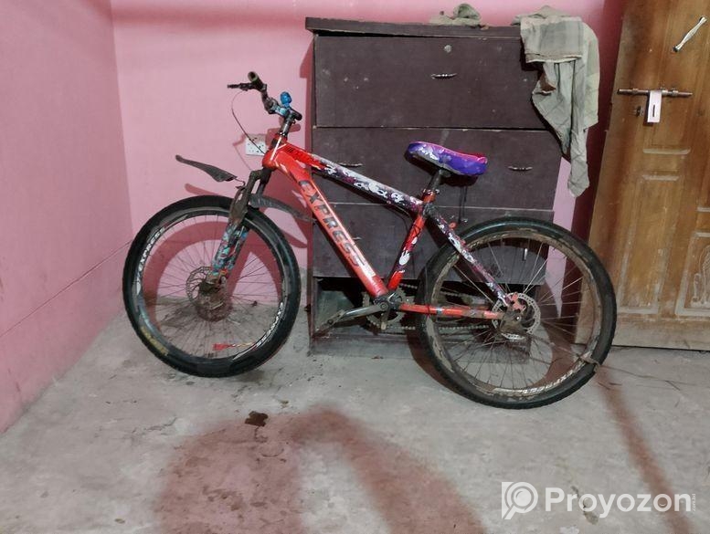 রানিং বাইসাইকেল